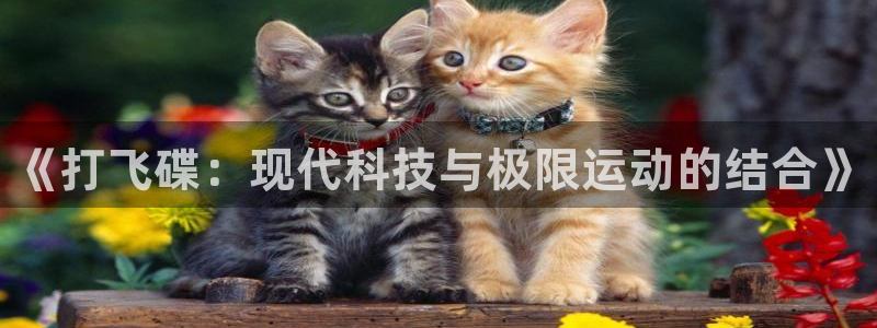 熊猫体育nba：《打飞碟：现代科技与极限运动的结合》