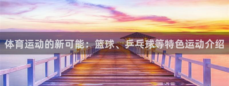 熊猫体育怎么样：体育运动的新可能：篮球、乒乓球等特色运动介绍