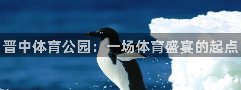 熊猫体育app下载安装：晋中体育公园：一场体育盛宴的起点