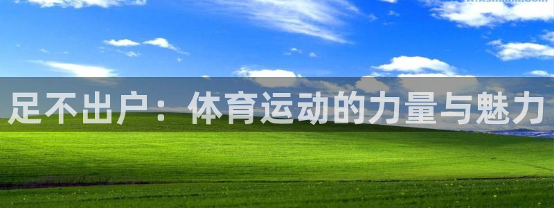 熊猫体育app下载安装：足不出户：体育运动的力量与魅力