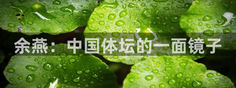 中山熊猫体育：余燕：中国体坛的一面镜子