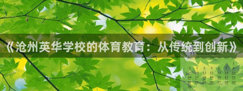 熊猫体育app下载安装：《沧州英华学校的体育教育：从传统到创新》